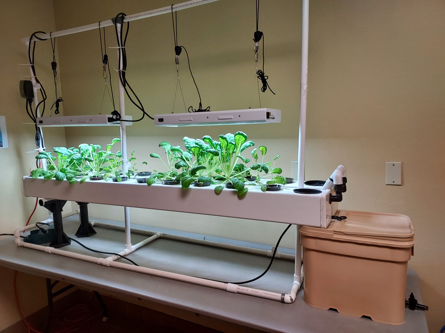 Small-scale hydroponic system: nutrient film channels with leafy vegetables